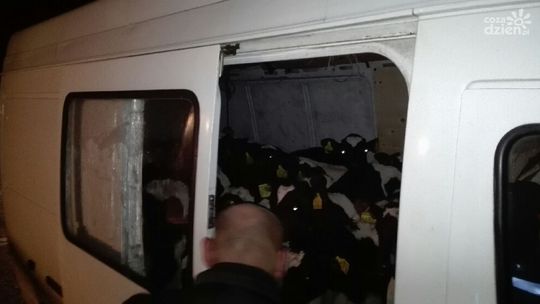 15 cielaków w Mercedesie!