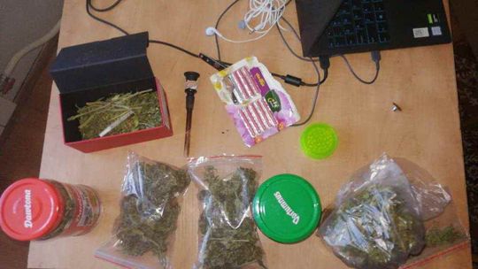 20-latek uprawiał marihuanę 