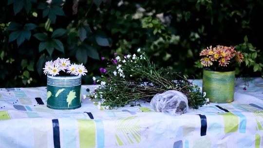 Zasiej, stwórz, rozkwitnij - warsztaty twórcze i spektakl Teatru ,,Amfifi'' w Ogrodzie Społecznym