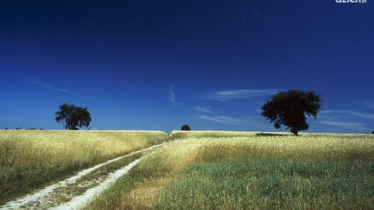 250 milionów z samorządu Mazowsza