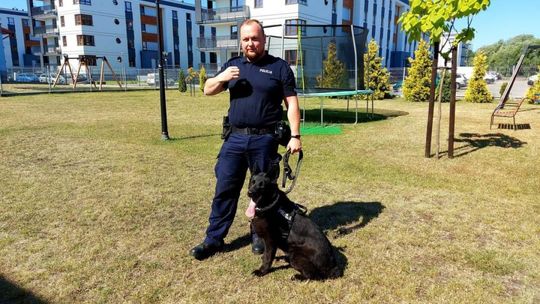 31-latek z Radomia okradł skład węgla