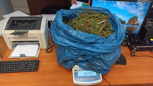 32-latek z Białobrzegów zatrzymany za narkotyki. Miał blisko dwa kilogramy marihuany