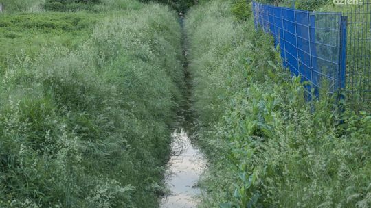 320 tys. zł na poprawę melioracji w regionie radomskim