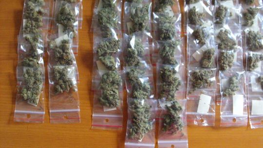 350 porcji marhiuany skonfinskowano w Radomiu