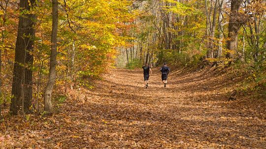 5 powodów dla których warto biegać, gdy jest zimno