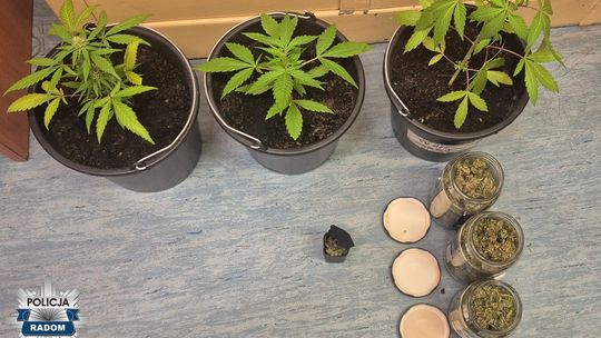 53-latek wpadł z blisko 100 gramami narkotyków