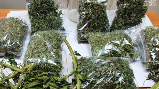 61-latek ze słoikami marihuany