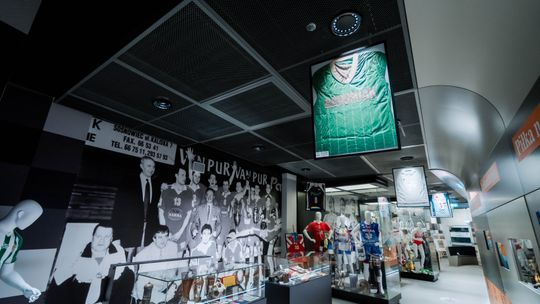 Radom ma własną galerię sportu. Pamiątki, medale i historia w jednym miejscu