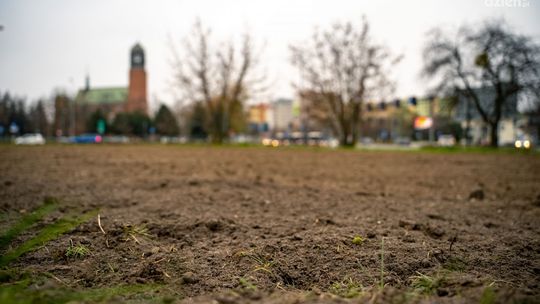 A wiosną posieją kwiaty...