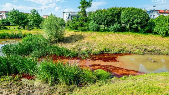 Aktualizacja. Skażone oczko na Gołębiowie
