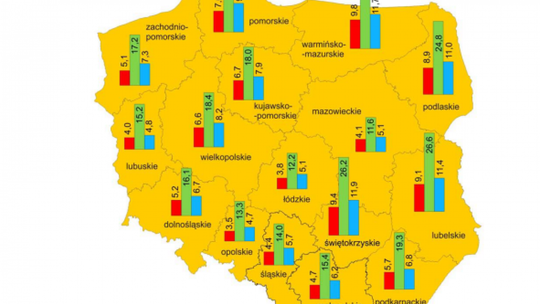 Alarmujące ubóstwo!