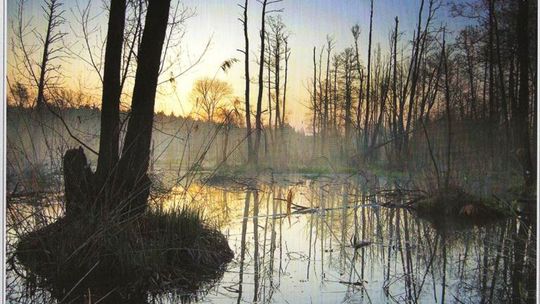 Album pełen piękna