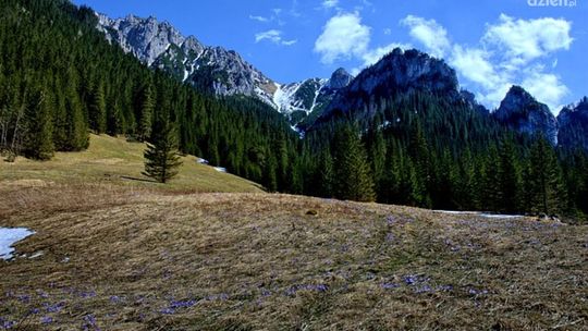 Apartament góralski Kościelisko