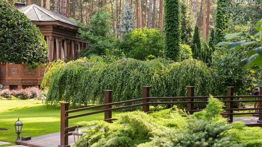 Aranżacje roślin przy ogrodzeniu i sekrety urządzenia altany