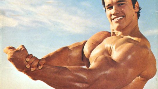 Arnold Schwarzenegger: "Chce mi się rzygać, jak na siebie patrzę"