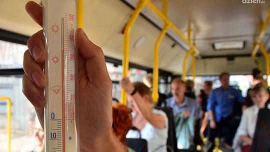 Autobusy czy piekarniki? Autobusy czy piekarniki?