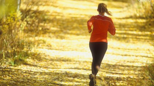 Bądź fit jesienią