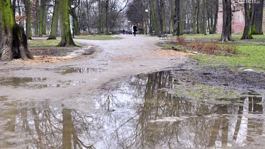 Bajoro w Parku Kościuszki. Co z tym zrobić?