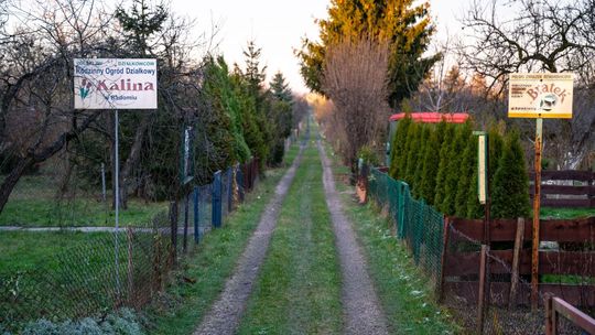 Będzie wsparcie dla ogródków działkowych?
