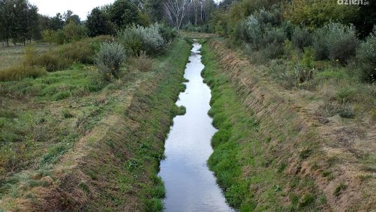 Będzie zielony spacer Doliną rzeki Mlecznej