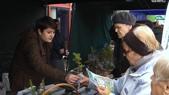 Bezpłatne sadzonki drzew Bezpłatne sadzonki drzew
