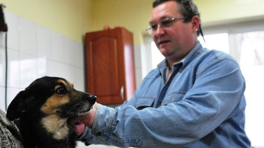 Bezpłatnie zaczipują radomskie psy