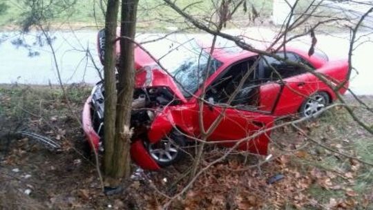 BIAŁOBRZEGI. Pijany kierowca uderzył w drzewo