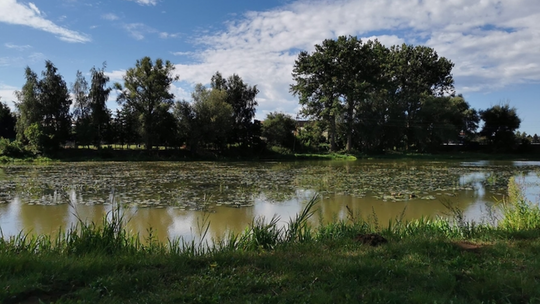 Białobrzeskie jeziora zostaną zrewitalizowane