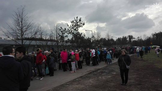 "Bieg na sześć łap". Kilkuset chętnych