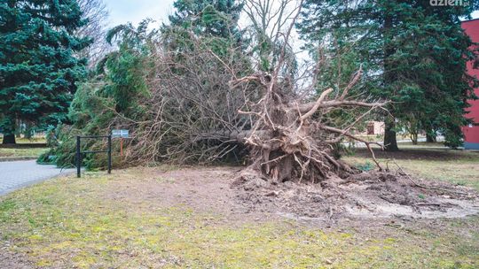 Bilans nocnej burzy w regionie