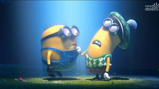 Bilet na "Minionki rozrabiają" - WYNIKI