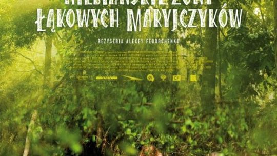 Bilet na "Niebiańskie żony..." - WYNIKI