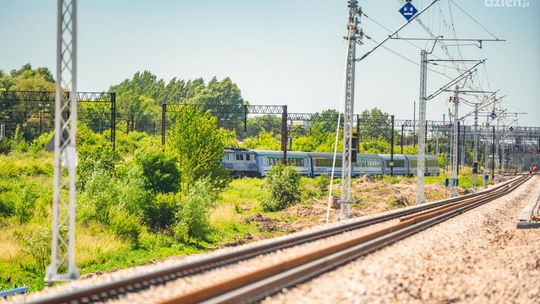 Bilet Turysty na wakacje