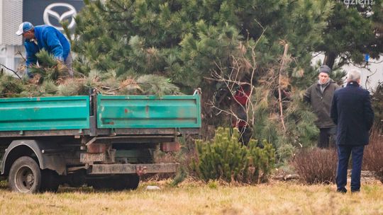 Bliżej budowy pomnika radomskich lotników