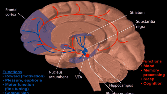 Bo ja się boję utyć, czyli o anoreksji