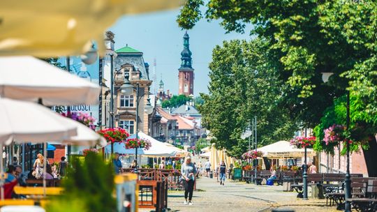 BOM. Znamy zgłoszone projekty