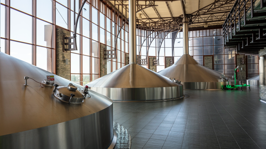 Browar Warka świętuje 50-lecie. Pół wieku tradycji, innowacji i wsparcia dla lokalnej społeczności