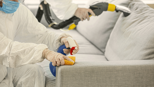 Bugstop.pl – Twój partner w skutecznej ochronie domu przed szkodnikami