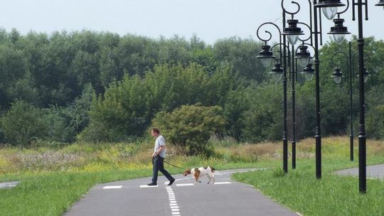 Bulwary nad Mleczną. Wykonawca ukarany