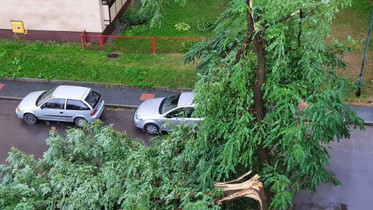 Burza nad Radomiem. Strażacy i służby usuwają skutki