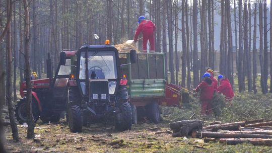 Były dyektor ZUK zapłaci za kwietniki?