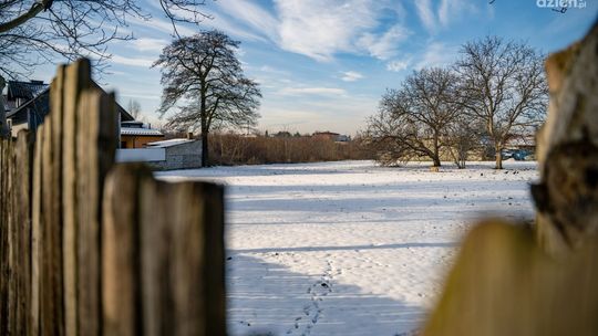Były sady, będą bloki?