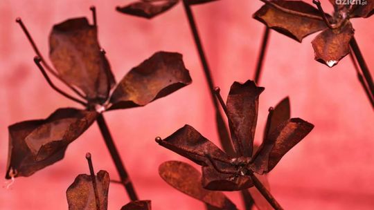 Ceramika, rzeźba i instalacja. Nowe ekspozycje w Orońsku