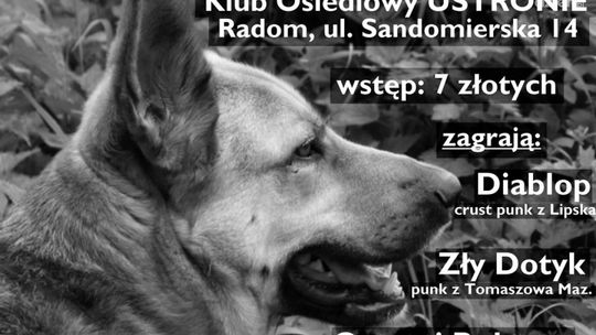 Charytatywny Koncert na rzecz schroniska