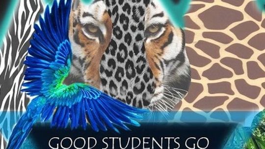 Chcą pomóc koledze w walce z rakiem