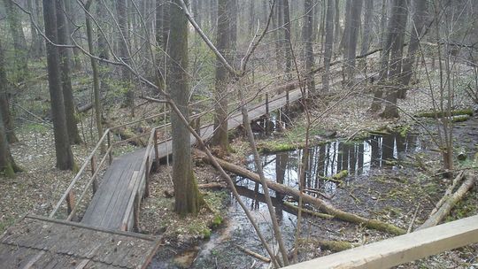 Chcesz pojechać do Źródeł Królewskich? Bądź ostrożny