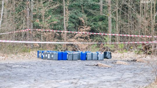 Chemikalia usunięte z Puszczy Kozienickiej