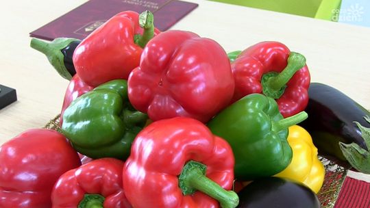 Chińczycy rozbudują Centrum w Słowikowie?