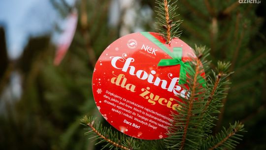 Choinka dla Życia