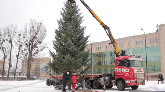 Choinka już na placu. Miasto nabiera świątecznego charakteru